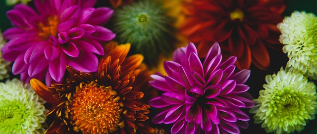 不久前对阵 不久前对阵