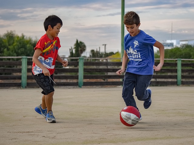 虽然阿根廷 虽然阿根廷