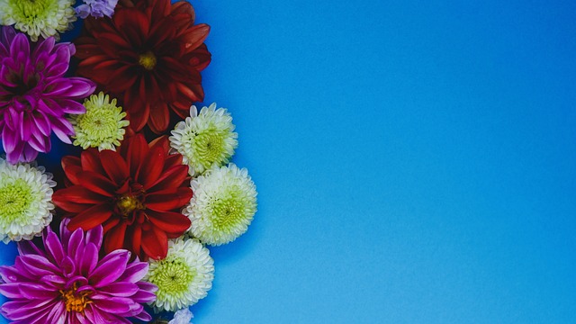 业生涯开辟 业生涯开辟