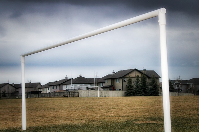 最强打工人锡安的命运：下一站勇士？​.